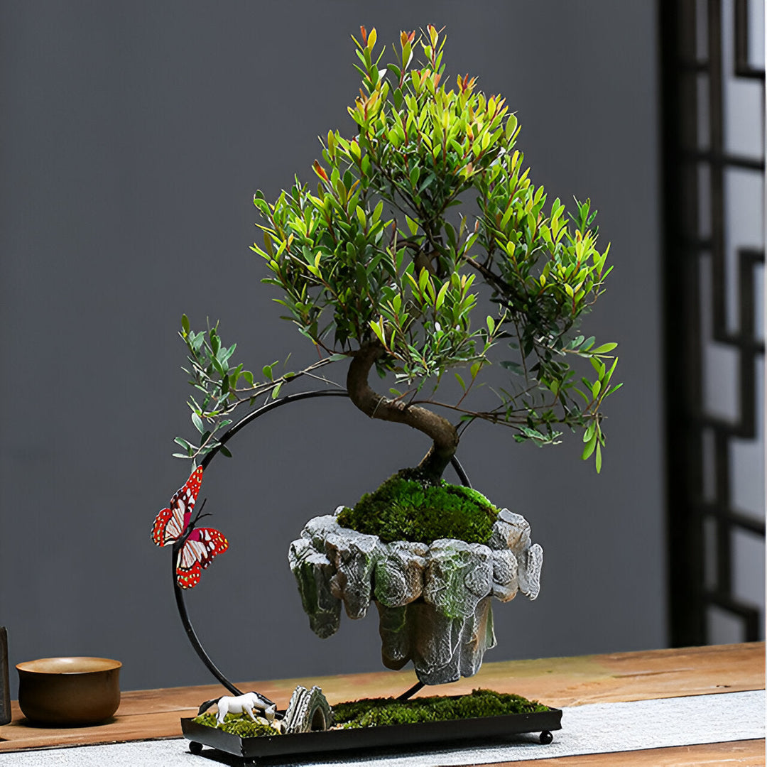 FantasyPot Handgemaakt Steenontwerp Zwevende Bonsai Pot